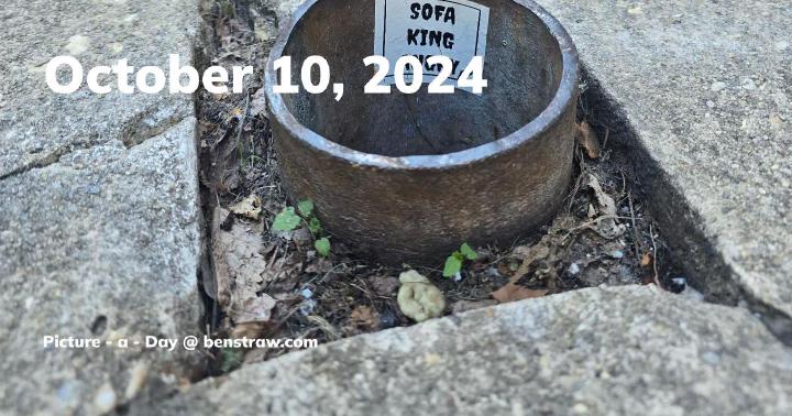 OG image Custom OG Image