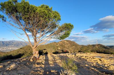 2023-01-17 16.28.10.jpg