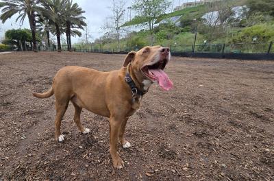 2024-03-02 10.04.14.jpg