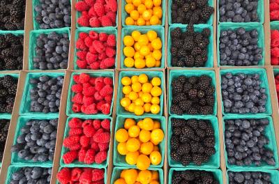 2024-05-11 10.45.22.jpg