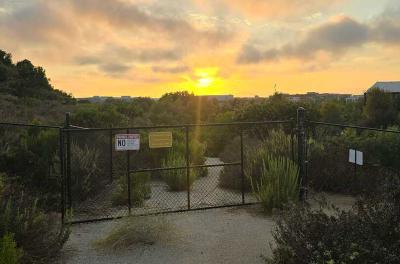 2024-07-23 19.38.50.jpg