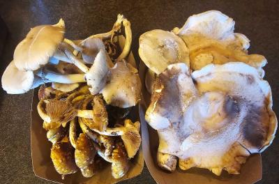 2024-07-27 11.21.16.jpg