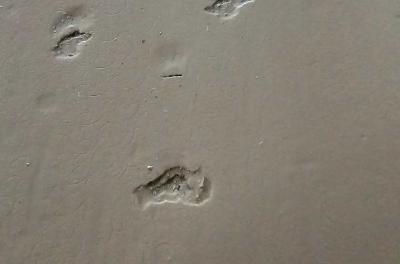 2024-07-27 16.41.26.jpg