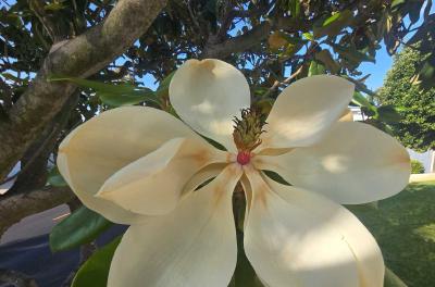 2024-08-01 17.25.43.jpg