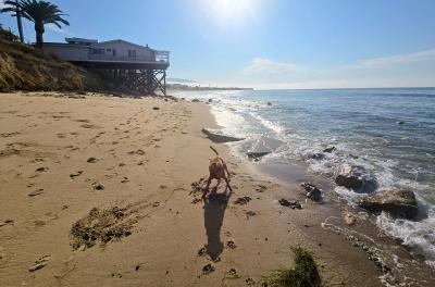 2024-08-02 08.30.22.jpg