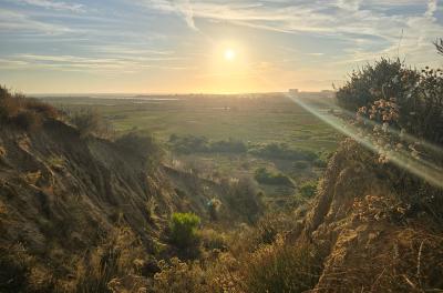 2024-08-04 19.12.47.jpg