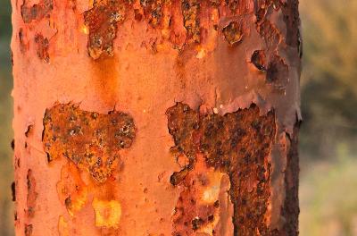 2024-08-11 19.30.39.jpg