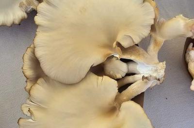 2024-08-17 10.45.32.jpg