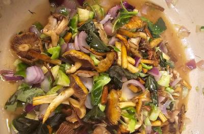 2024-08-24 21.40.53.jpg