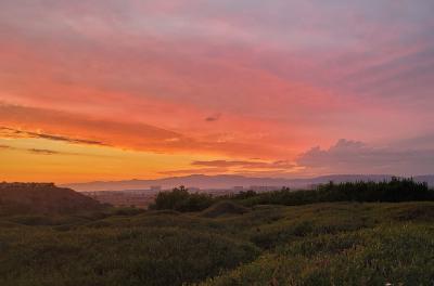 2023-08-19 19.44.54.jpg