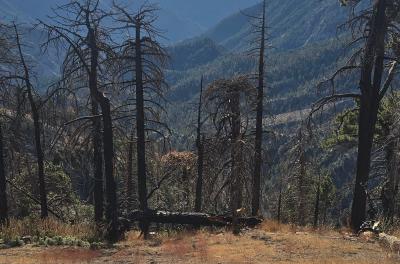 2024-11-01 09.29.19.jpg