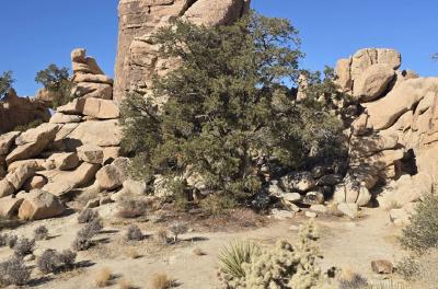 2024-12-15 11.16.08.jpg