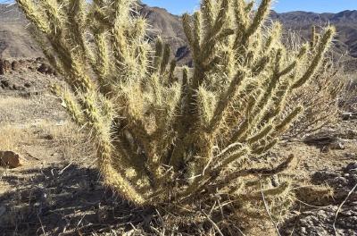 2024-12-16 11.39.30.jpg