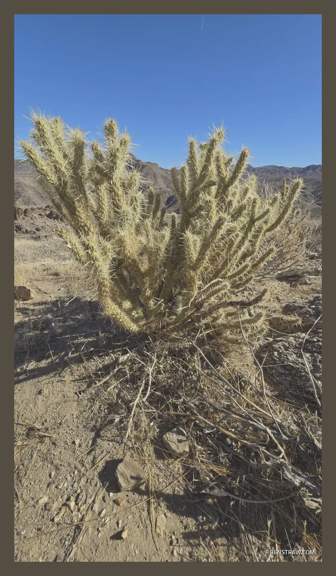 2024-12-16 11.39.30.webp