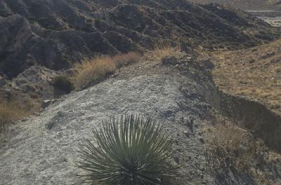 2024-12-17 11.23.56.jpg