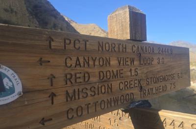 2024-12-17 12.42.19.jpg