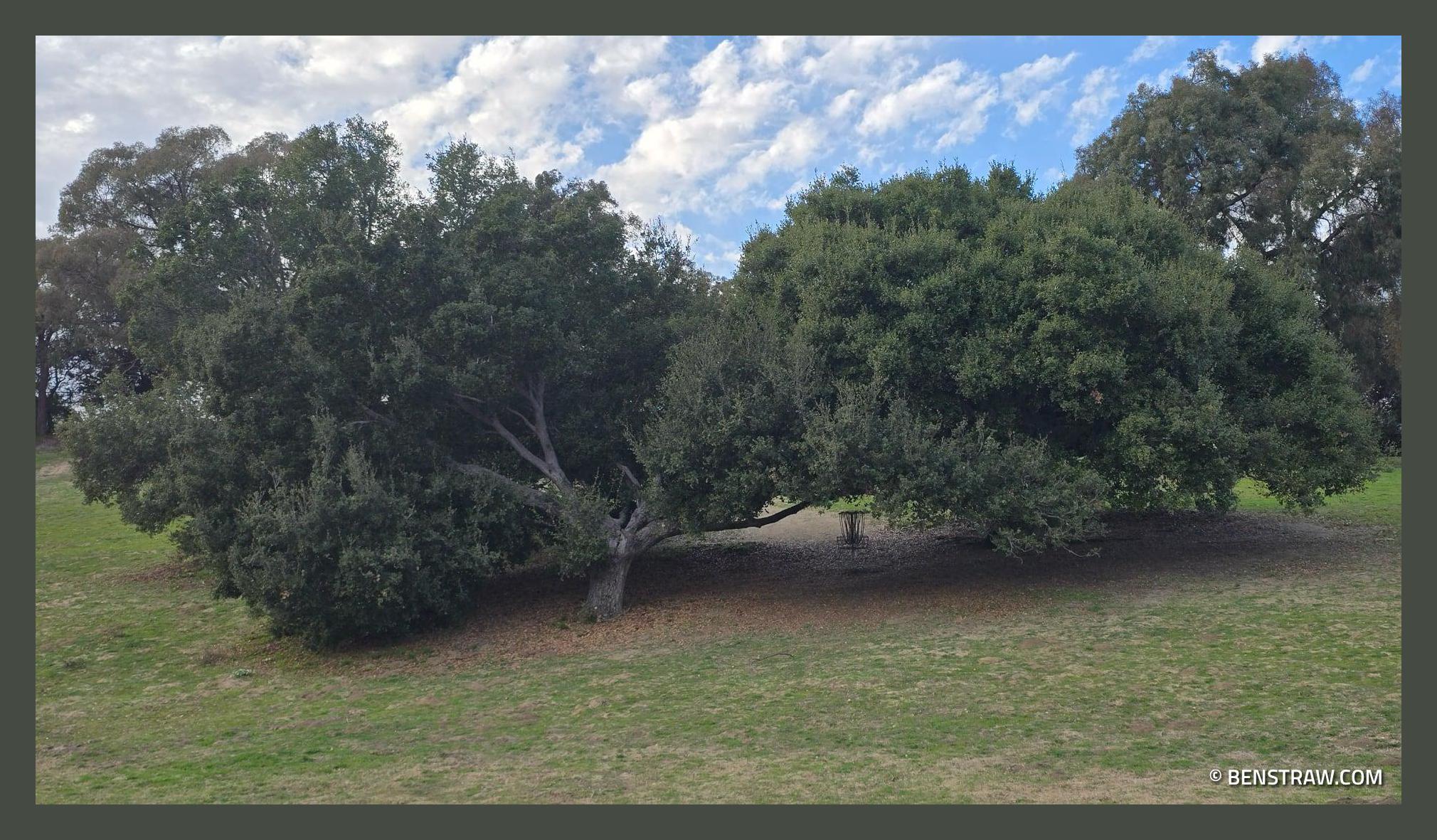 2025-02-28 16.39.40.jpg