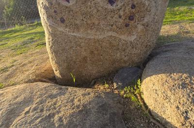 2025-03-02 17.19.54.jpg