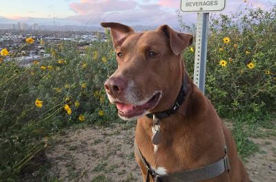 2025-03-02 17.55.57.jpg