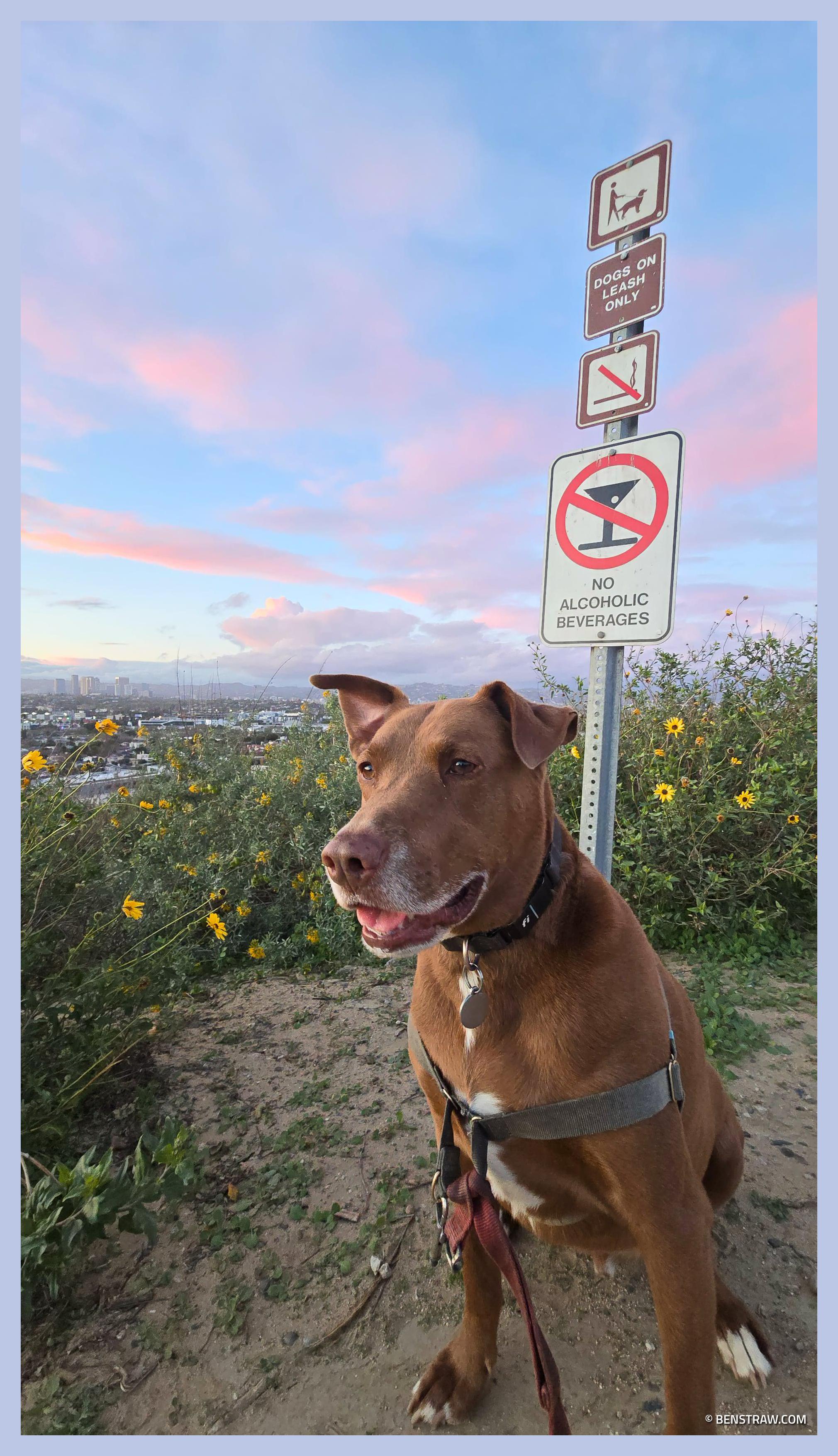 2025-03-02 17.55.57.jpg